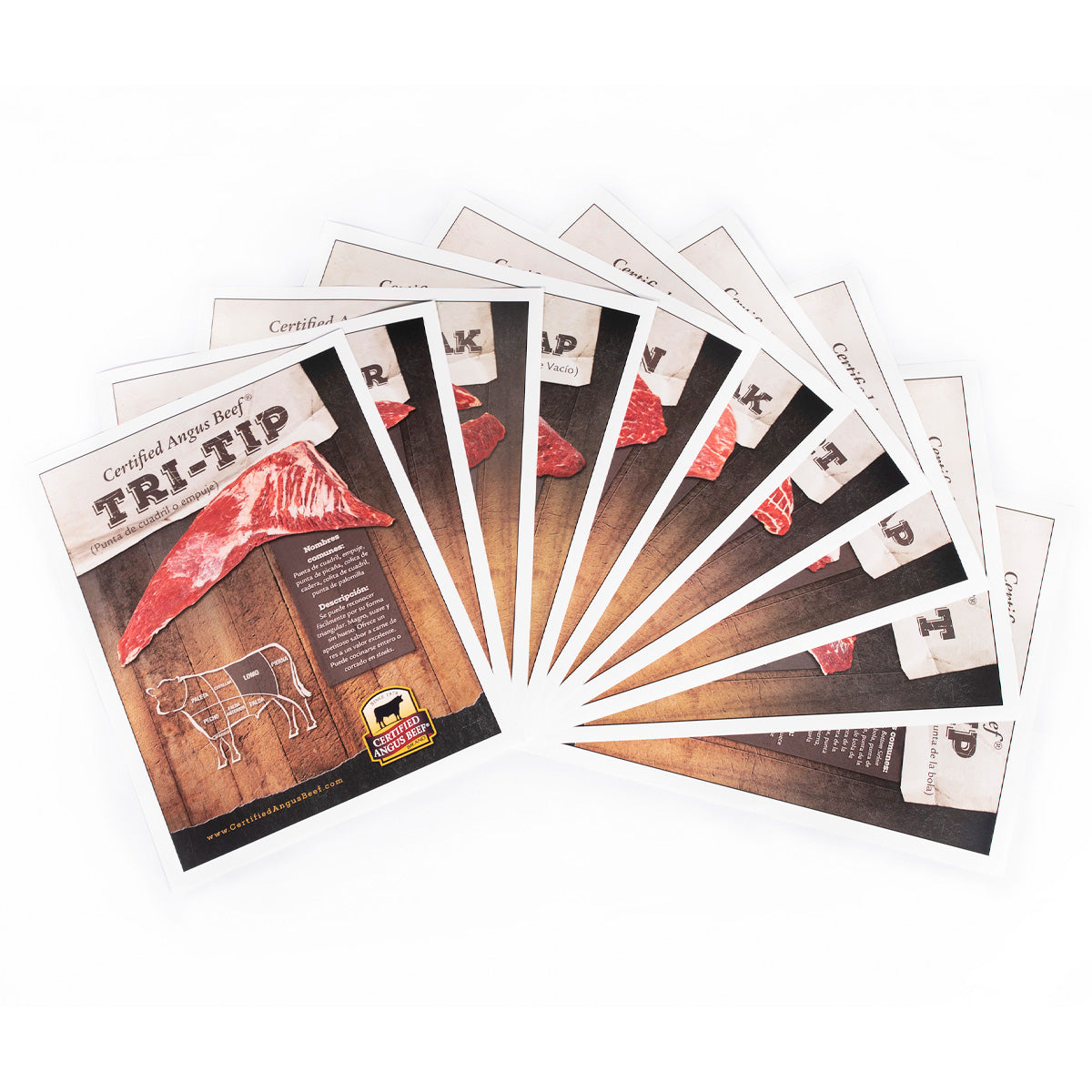 CUT SHEETS (Spanish)