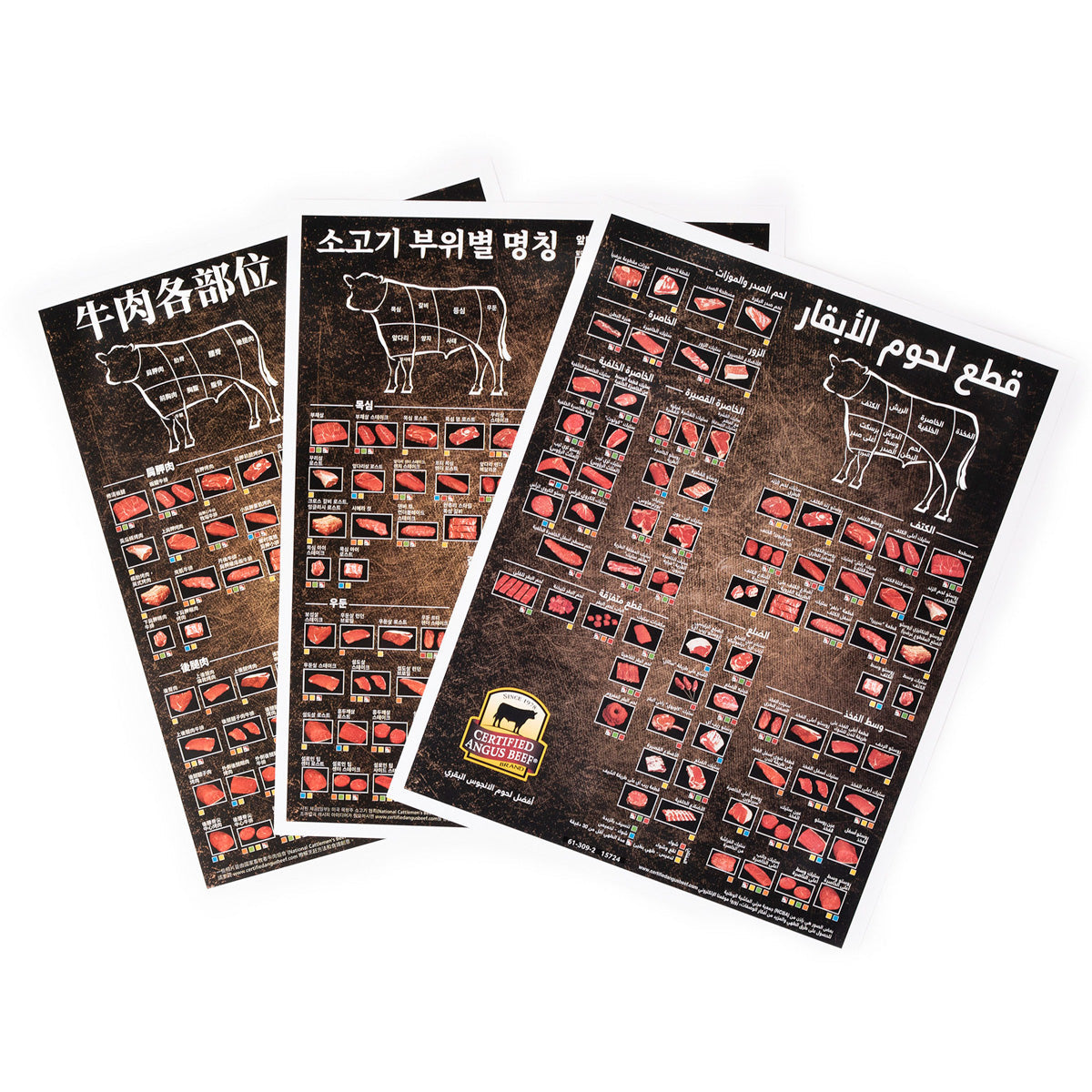 Beef Cuts Charts - International