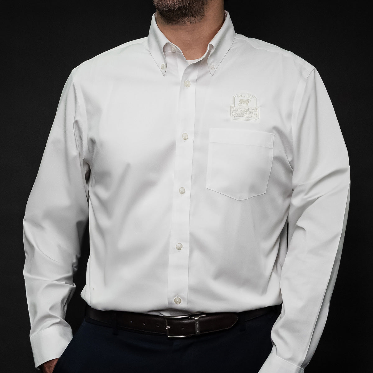 Brooks Brothers Dress Shirt