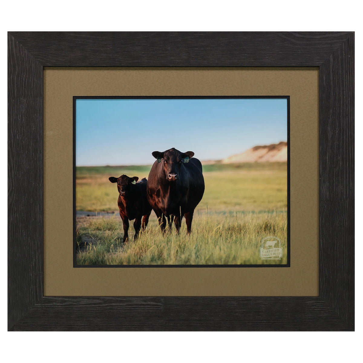 Green Pastures Framed Print