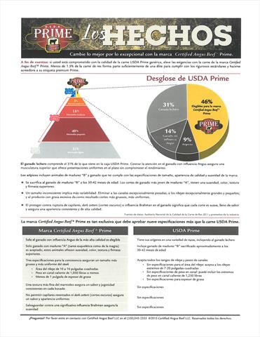 The Facts Flyers-International