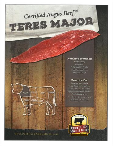 CUT SHEETS (Spanish)