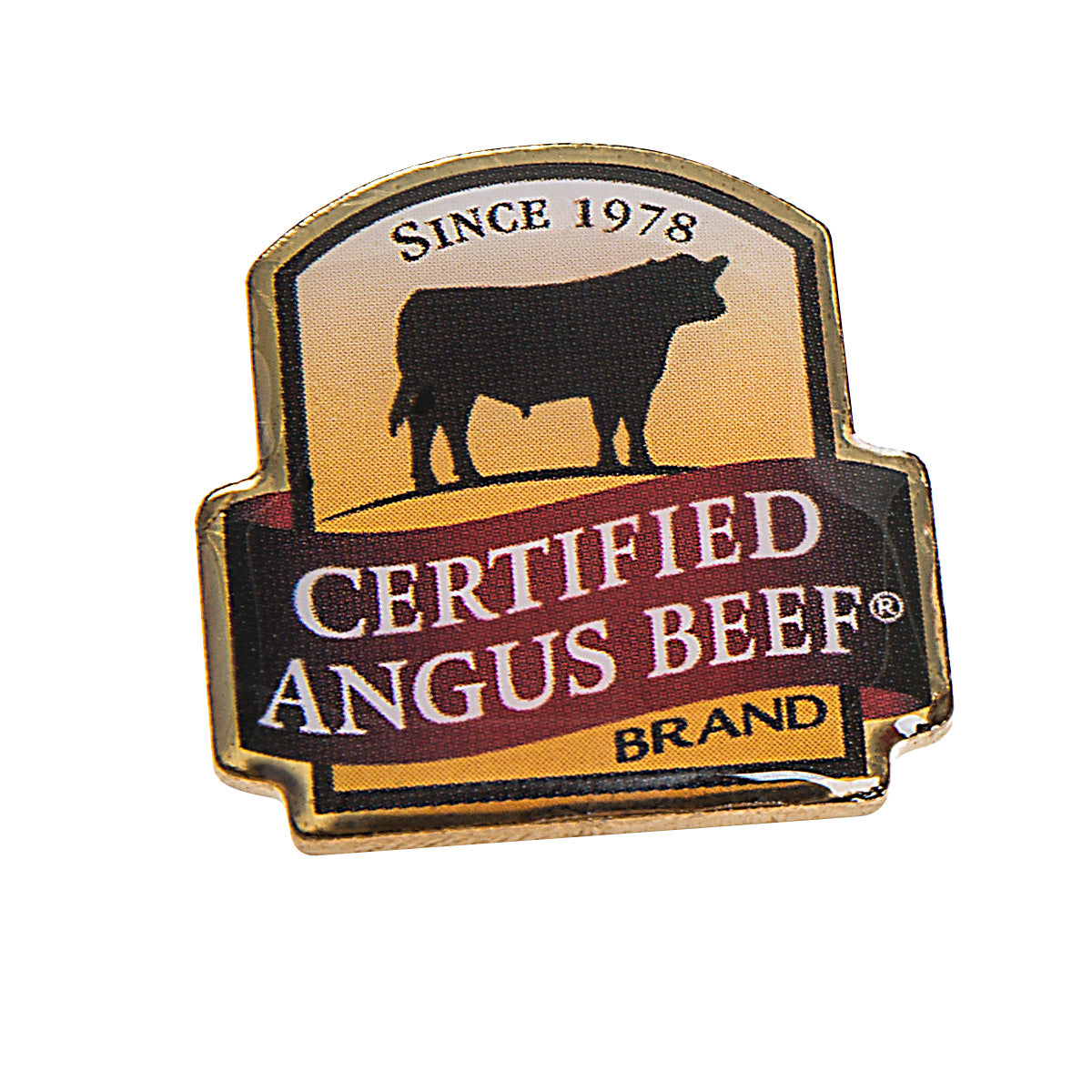 Lapel Pin - Full Color