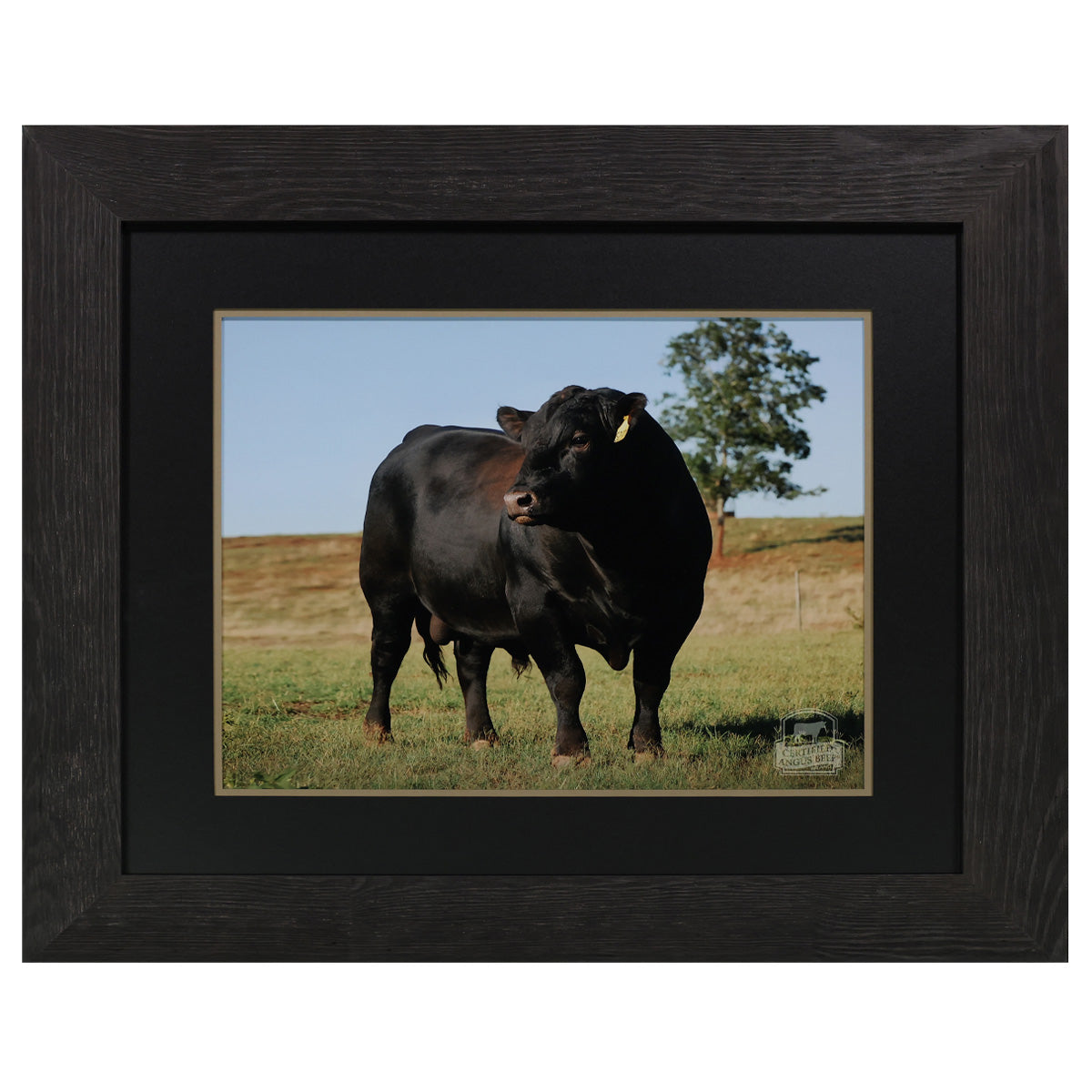 Focused Perspective Framed Print