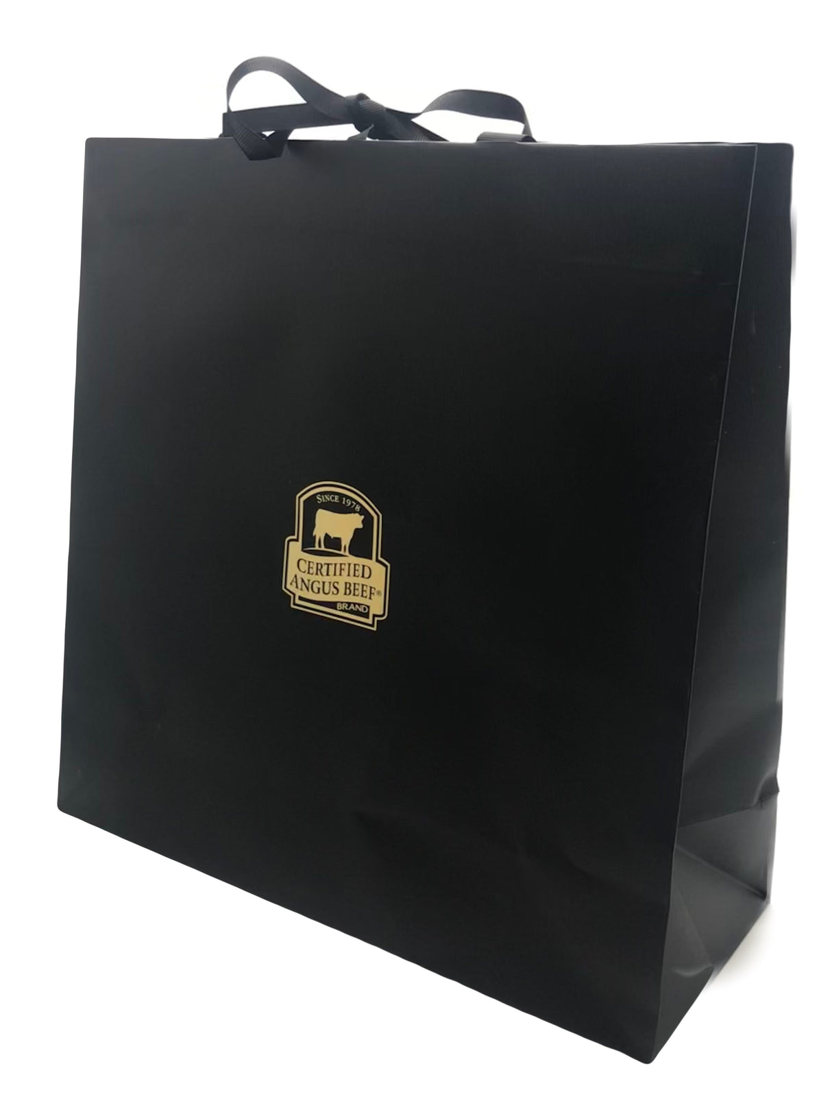 Gift Bag 13"x13"x5"