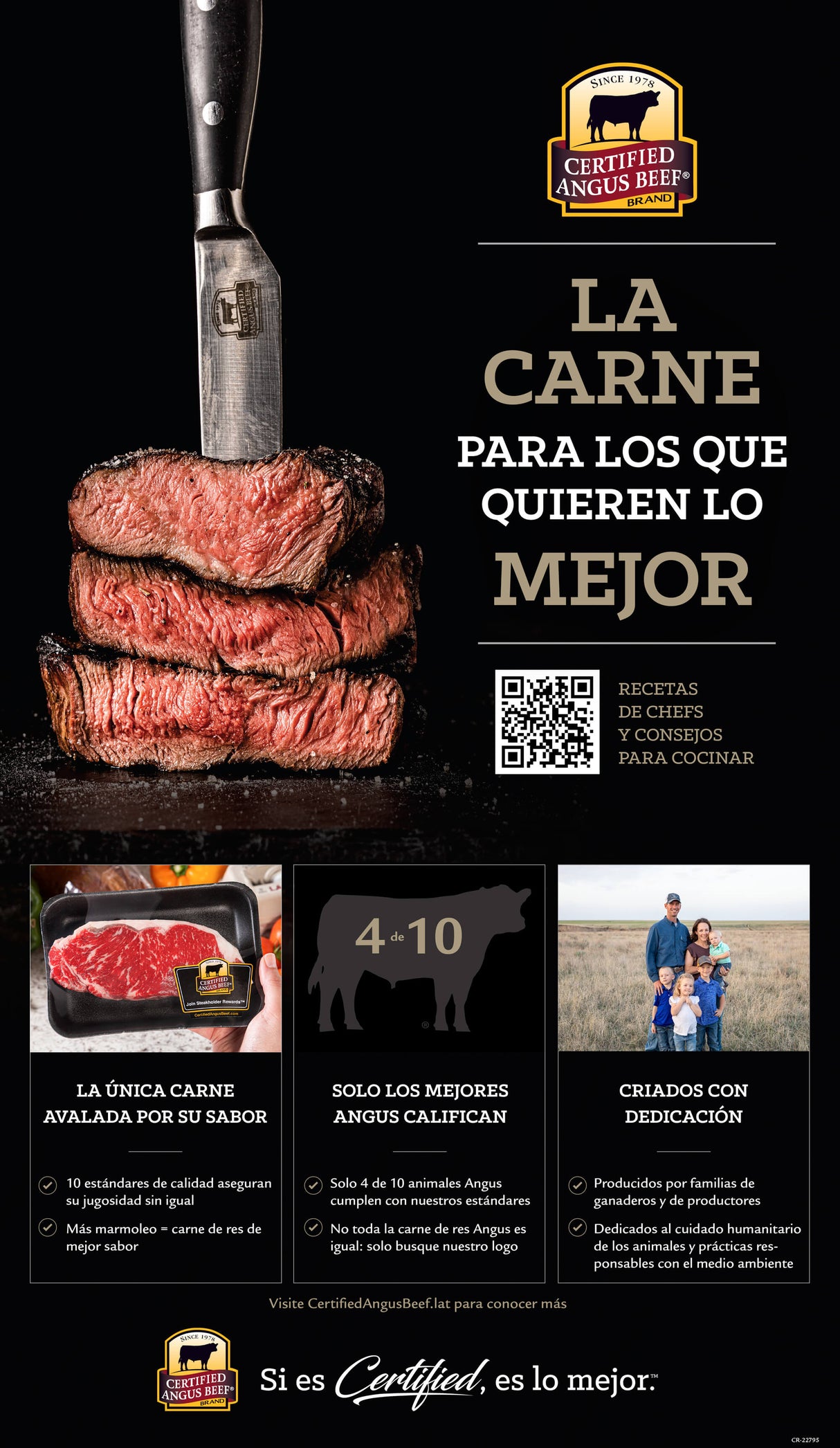 Poster - Brand Questions & Answers - Spanish