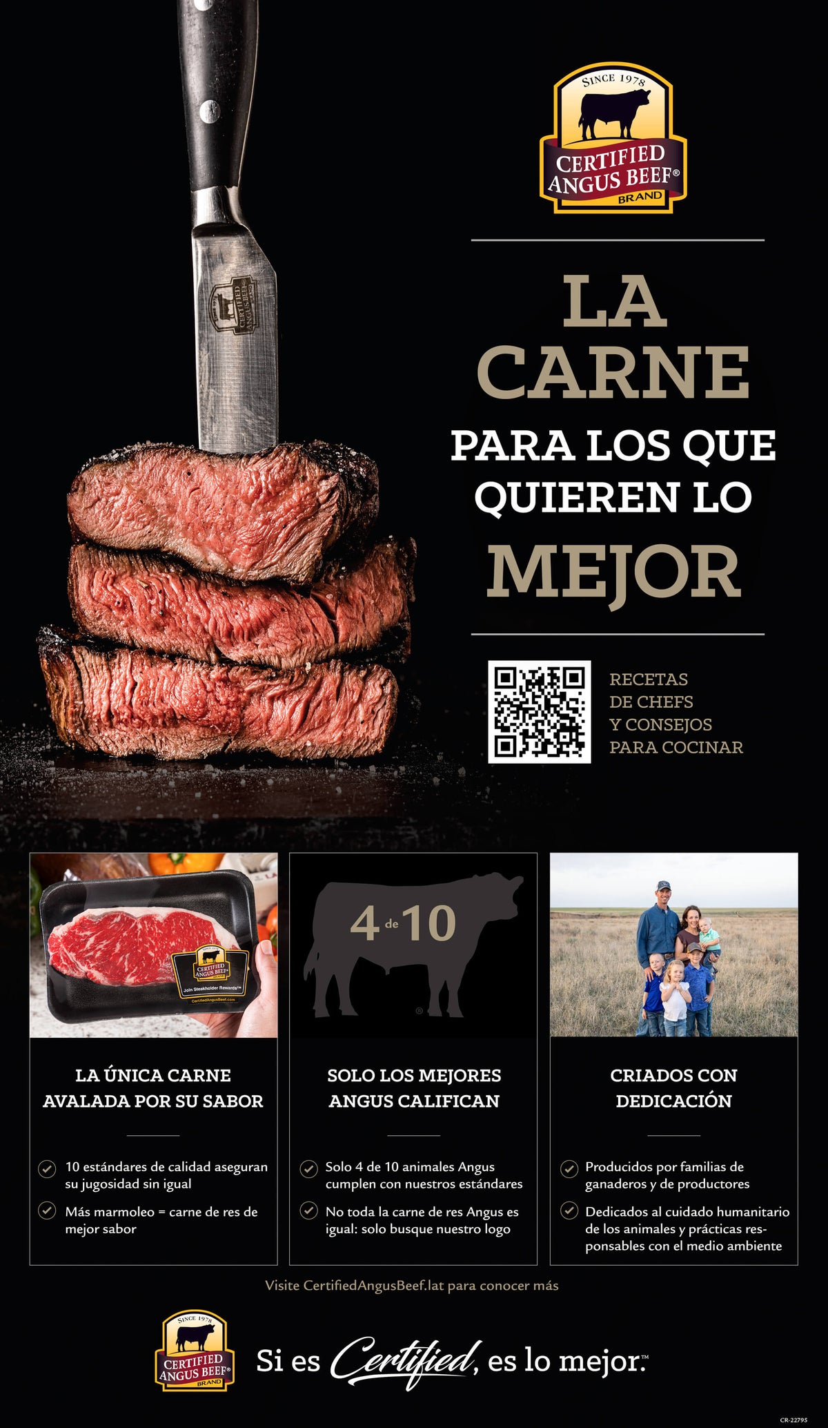 Poster - Brand Questions & Answers - Spanish