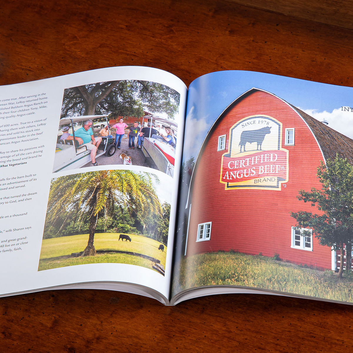 Sheltering Generations – The American Barn