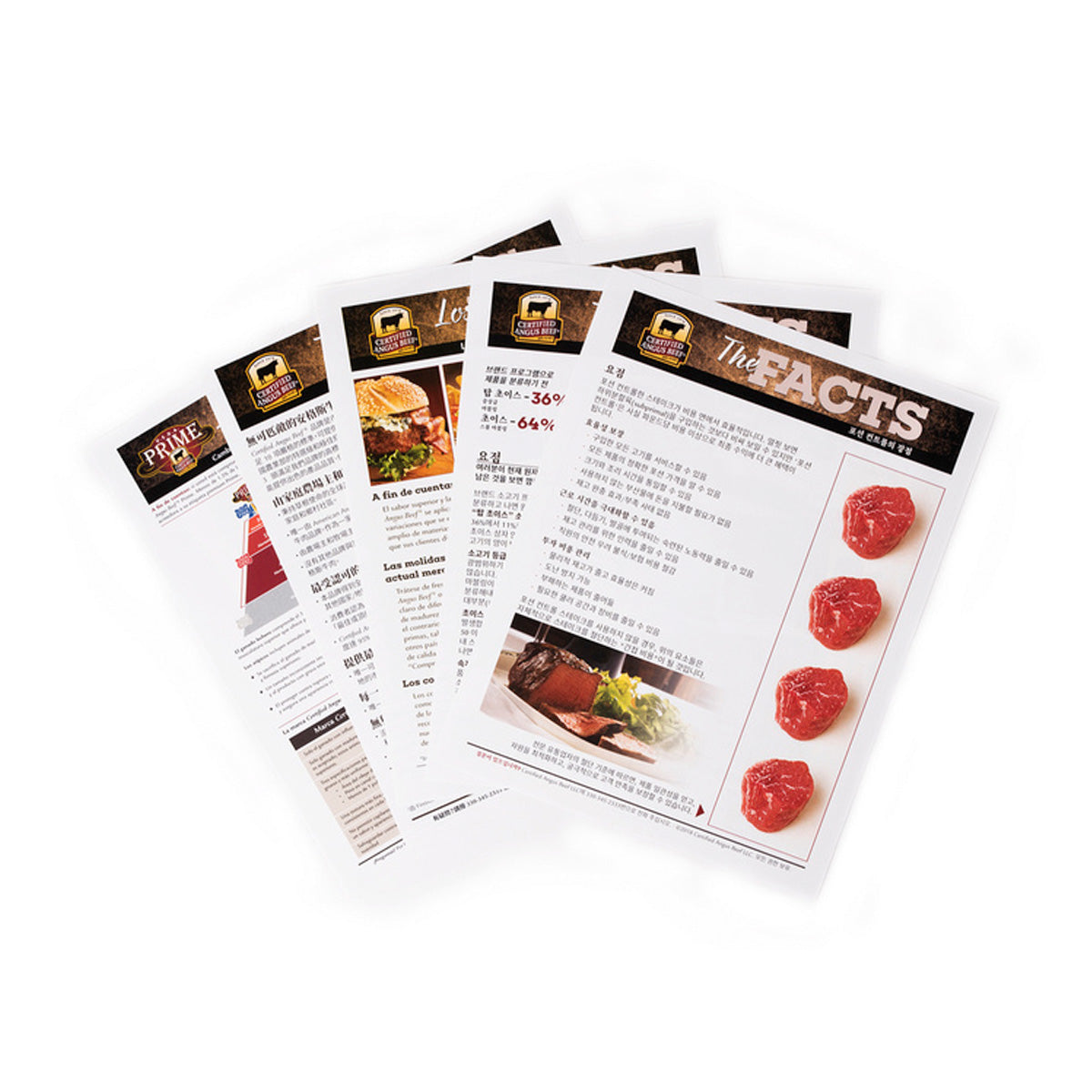 The Facts Flyers-International