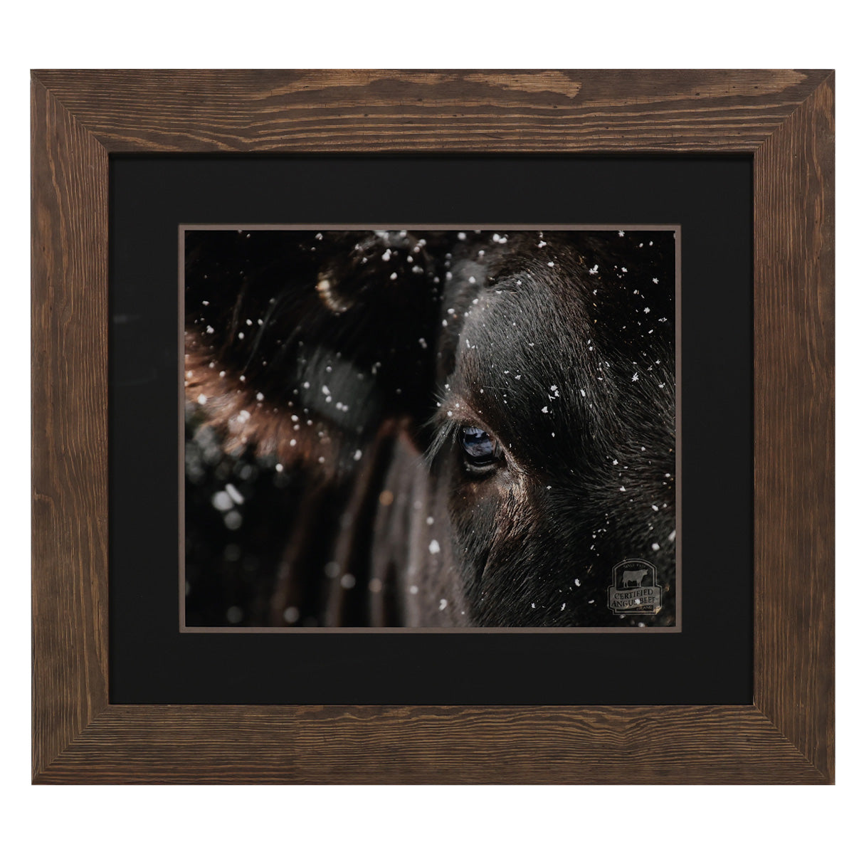 Winter in the Pasture Framed Print
