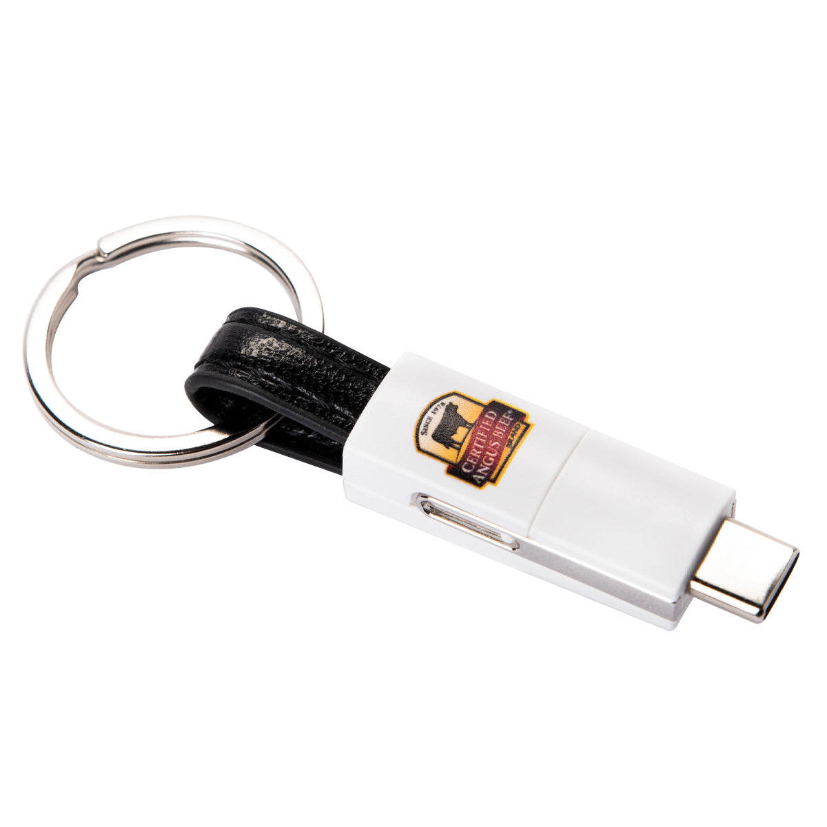 All-in-one Charging Keychain