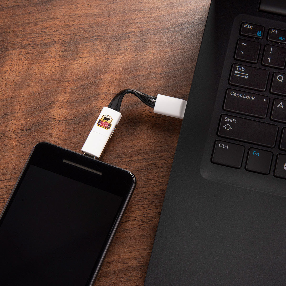 All-in-one Charging Keychain