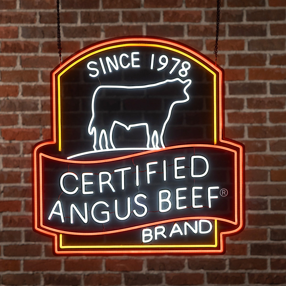 Acrylic LED Logo Sign