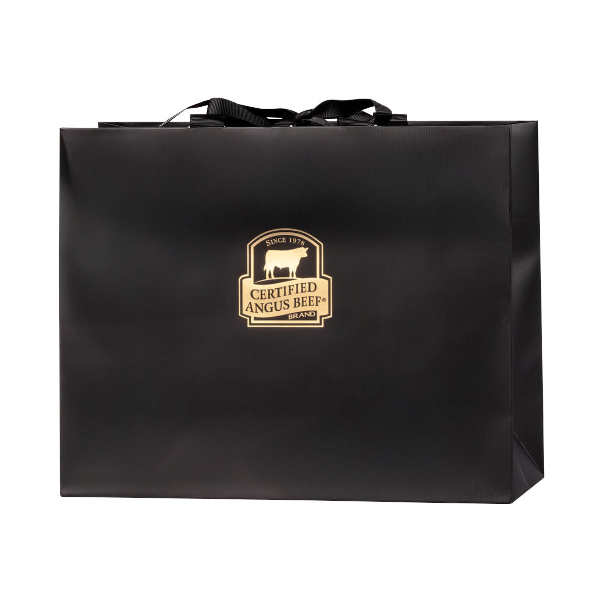 Gift Bag 10x8"