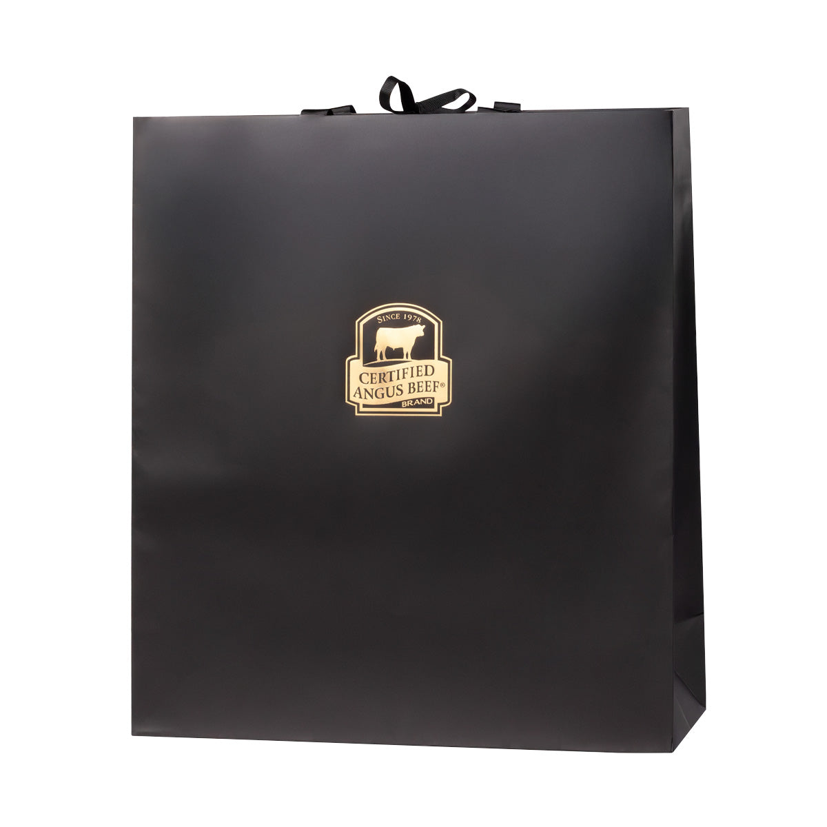 Gift Bag 18X16"
