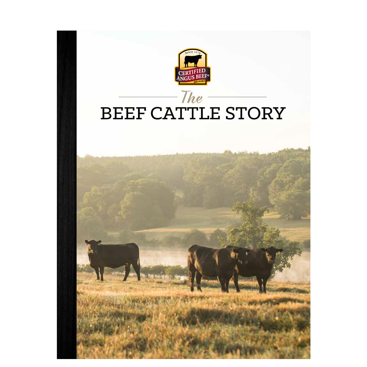 Beef Cattle Story-ENG(PRODMAP)