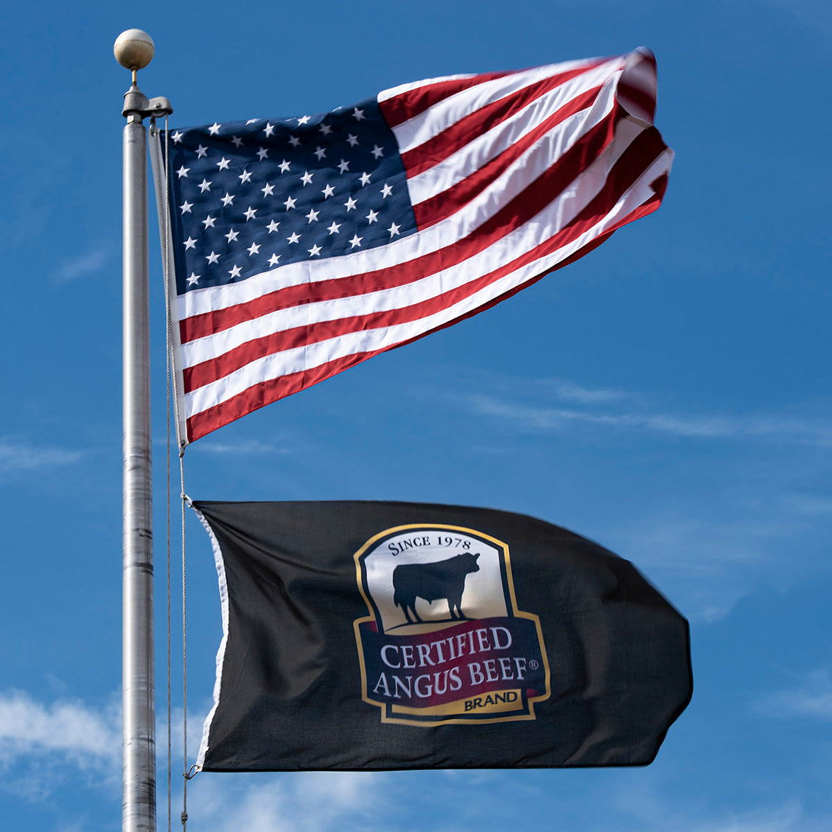 3x5 Logo Flag